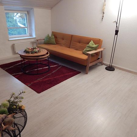 Ferienwohnung Schwemmer 피르나 외부 사진